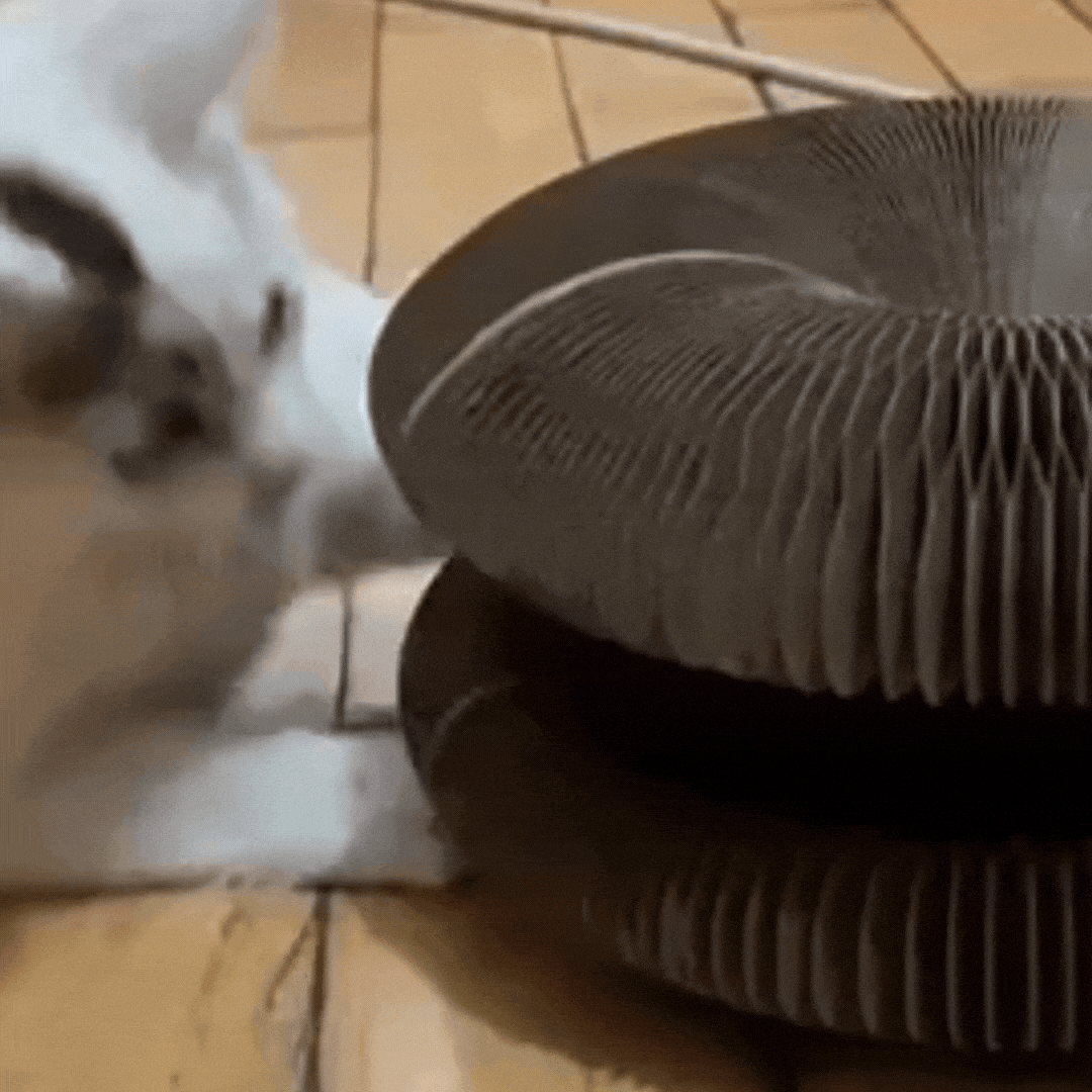 Purrfect Playmate™ - Gravity Dropz