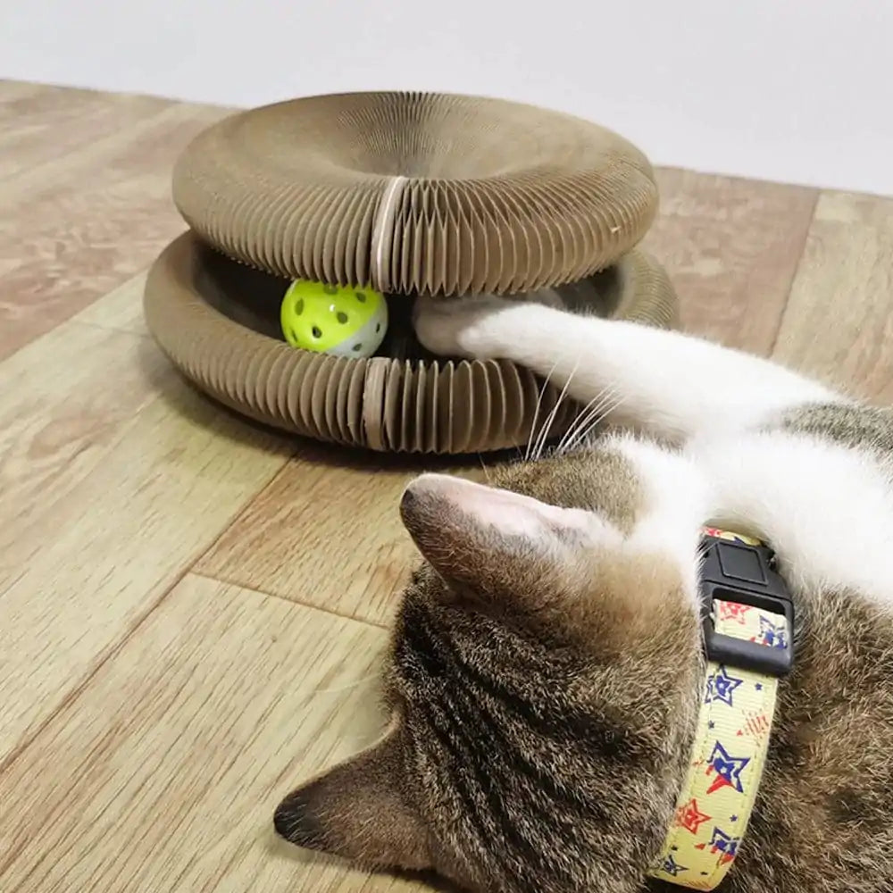 Purrfect Playmate™