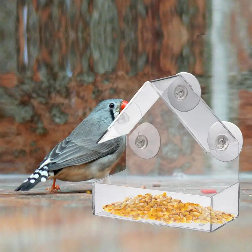 Window Watch Bird Feeder - Gravity Dropz