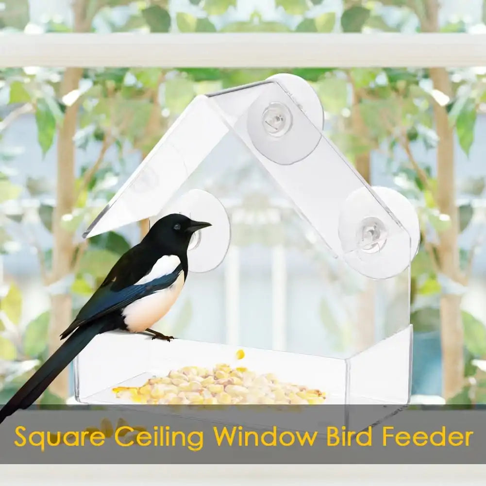 Window Watch Bird Feeder - Gravity Dropz
