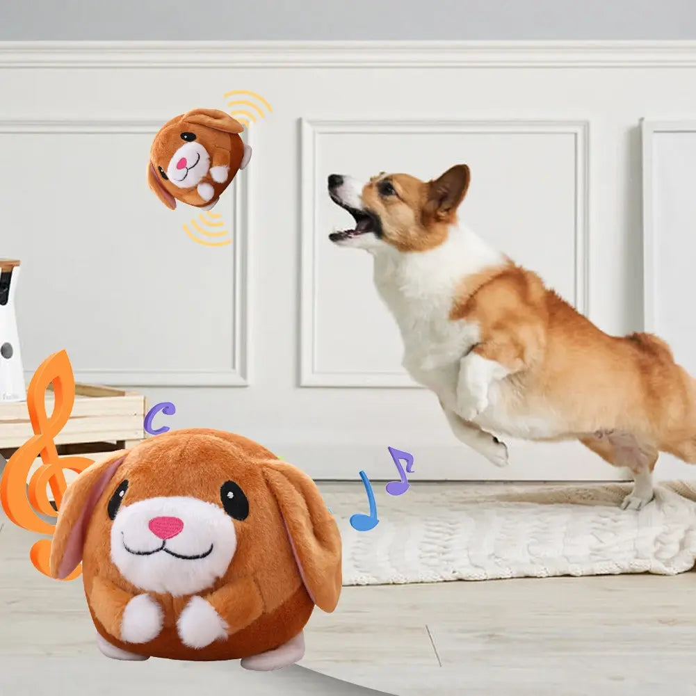 Bouncy Buddy - Gravity Dropz