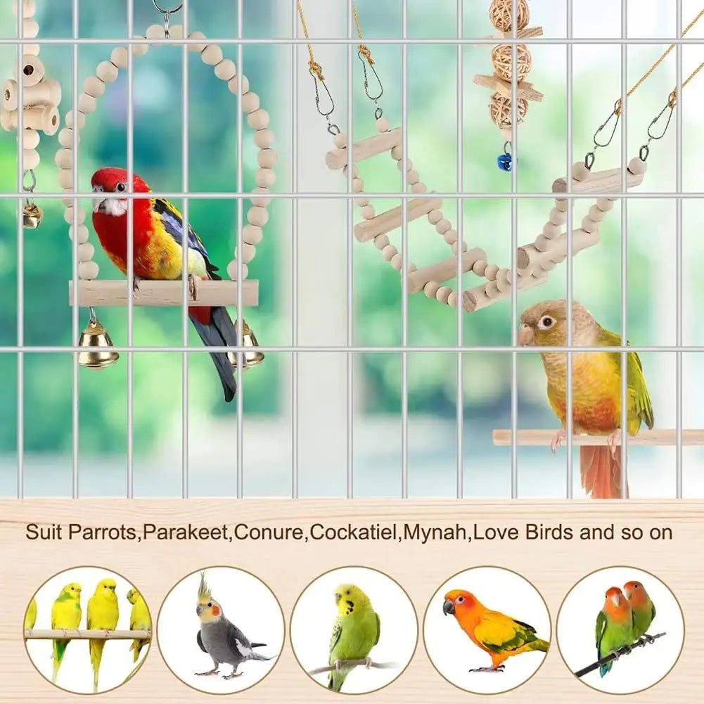 Parrot Playground Swings.