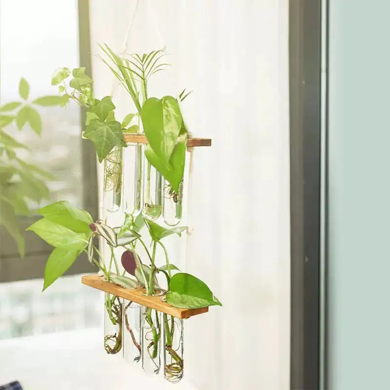 Wall Hanging Test Tube Propagation Station - Gravity Dropz