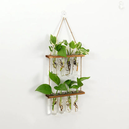 Wall Hanging Test Tube Propagation Station - Gravity Dropz