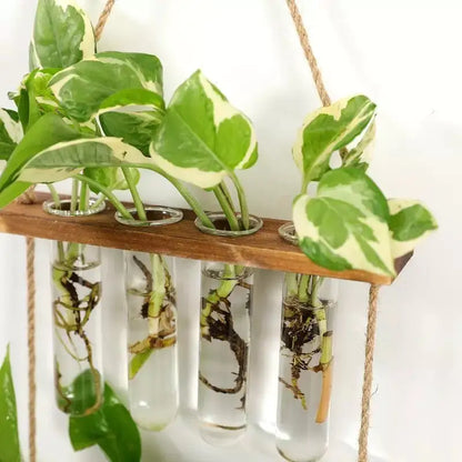 Wall Hanging Test Tube Propagation Station - Gravity Dropz