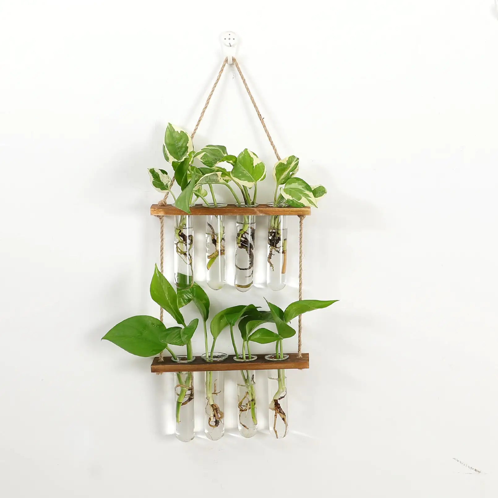 Wall Hanging Test Tube Propagation Station - Gravity Dropz