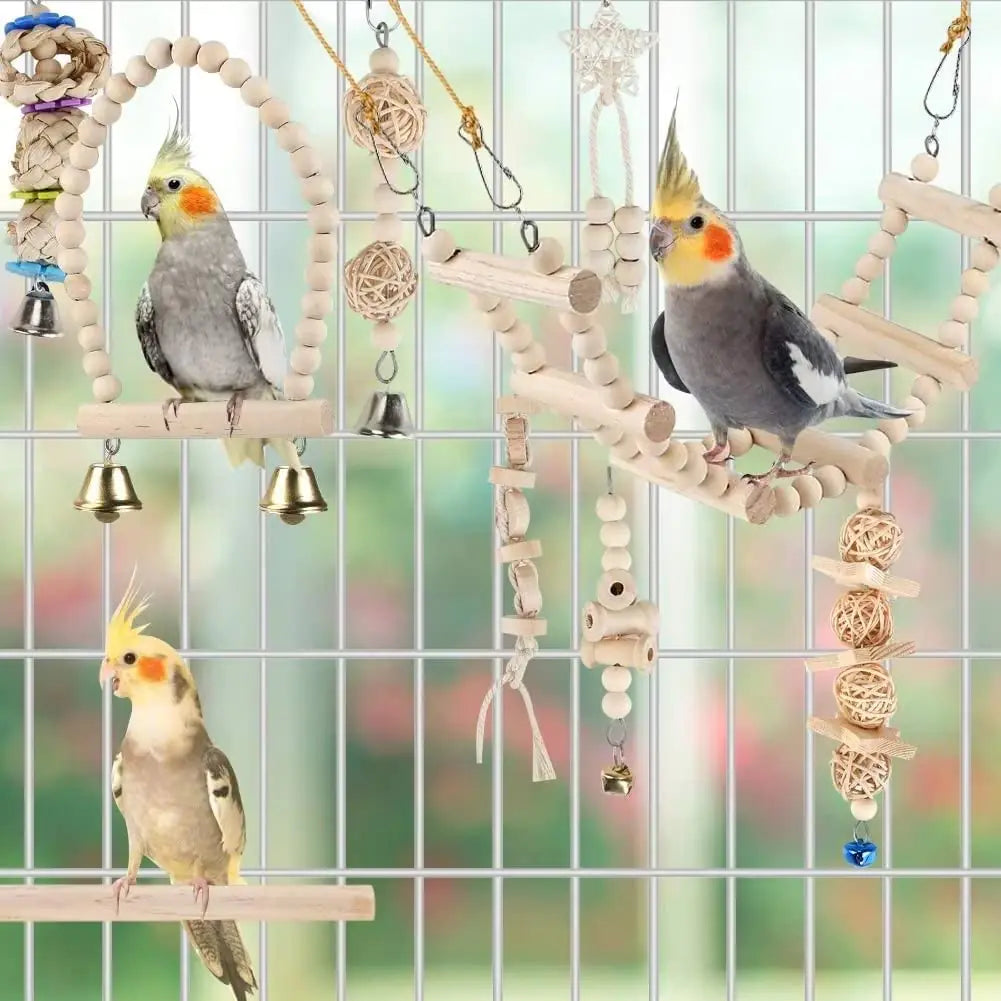 Parrot Playground Swings.